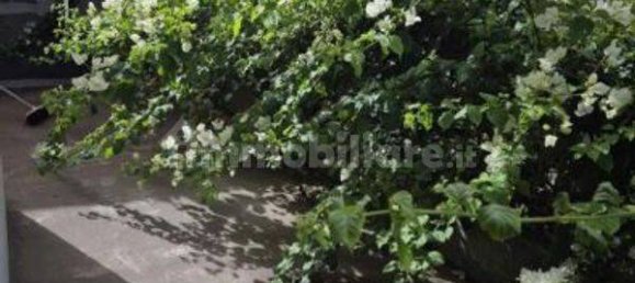 4 chambres Villa à Sant'Angelo di Brolo, Italy No. 43129 4