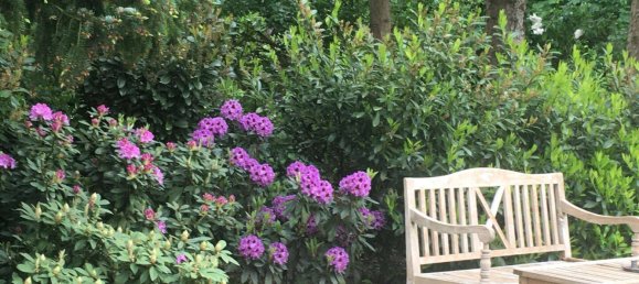 4-Zimmer Haus in Rotenburg, Germany, Nr. 236262 14