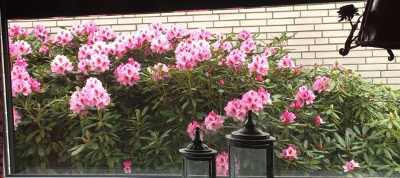 4-Zimmer Haus in Rotenburg, Germany, Nr. 236262 38