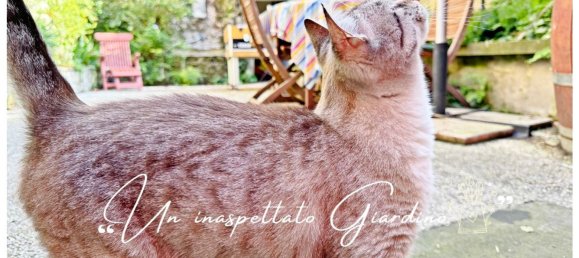 11 rooms Apartment in Genoa, Italy No. 187762 5