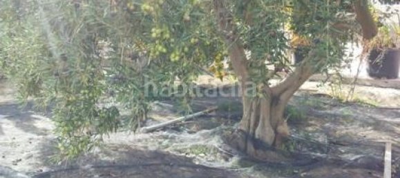 7 Schlafzimmer Haus in Alicante, Spain, Nr. 121721 7