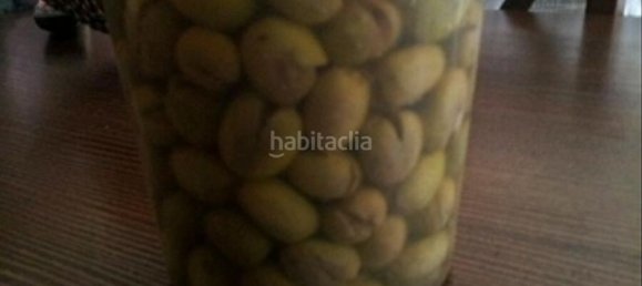 7 Schlafzimmer Haus in Alicante, Spain, Nr. 121721 10