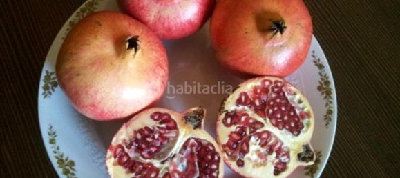 7 Schlafzimmer Haus in Alicante, Spain, Nr. 121721 16