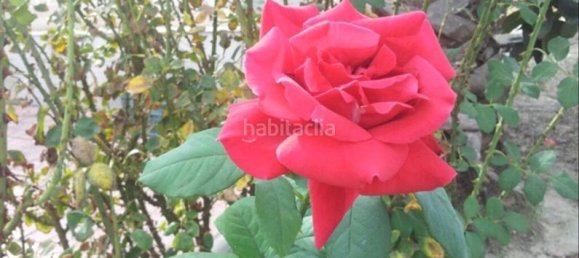 7 Schlafzimmer Haus in Alicante, Spain, Nr. 121721 6