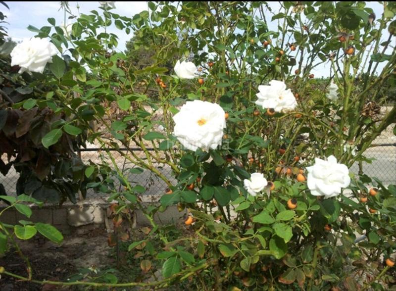 7 Schlafzimmer Haus in Alicante, Spain, Nr. 121721