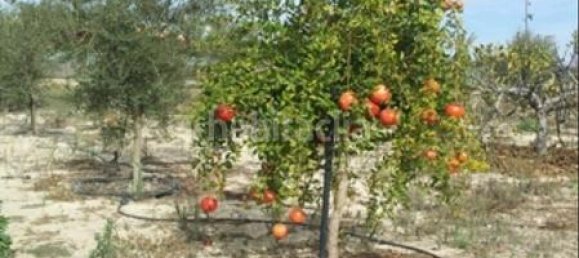 7 Schlafzimmer Haus in Alicante, Spain, Nr. 121721 8