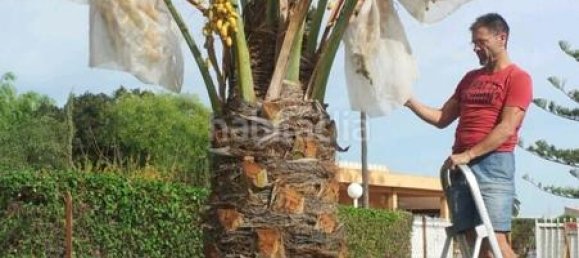 7 Schlafzimmer Haus in Alicante, Spain, Nr. 121721 3