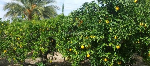 7 Schlafzimmer Haus in Alicante, Spain, Nr. 121721 2