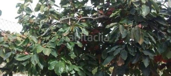 7 Schlafzimmer Haus in Alicante, Spain, Nr. 121721 4