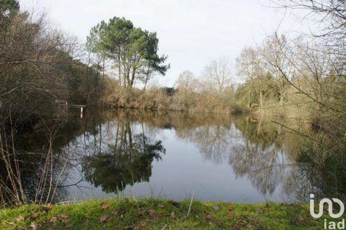 3 bedrooms House in Saumur, France No. 27078