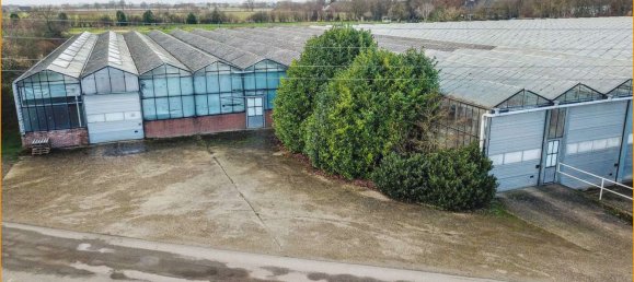 10910m² Warehouse in Kleve, Germany No. 149763 4