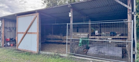 Grundstück in Vorpommern-Greifswald, Germany, Nr. 152466 5