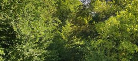 Дом с 4 спальнями в Эр, Франция № 362133 4