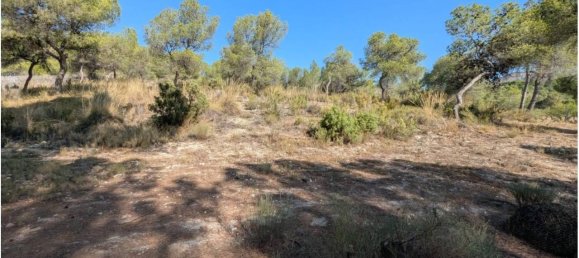 Дом с 4 спальнями в Сакс, Испания № 186758 40