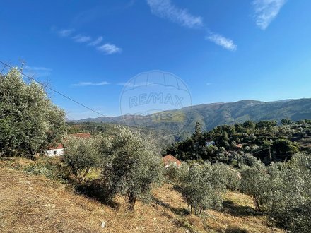 2 bedrooms House in Gois, Portugal No. 158178