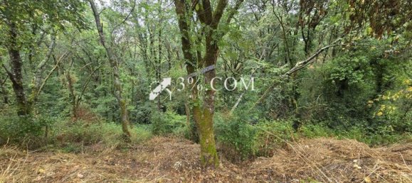 2 Schlafzimmer Haus in Saint-Grave, France, Nr. 312494 12