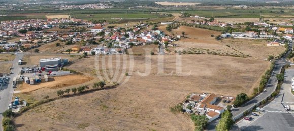 Terrain à Alenquer, Portugal 44840m² No. 58407 6