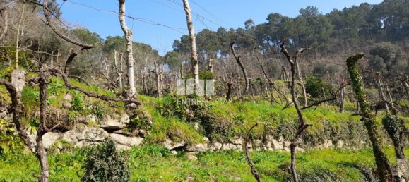 Casa de 1 dormitorio en Marco de Canaveses, Portugal No. 56723 8