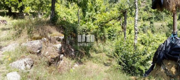 Casa de 1 dormitorio en Marco de Canaveses, Portugal No. 56723 39