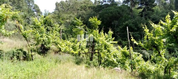 Casa de 1 dormitorio en Marco de Canaveses, Portugal No. 56723 27