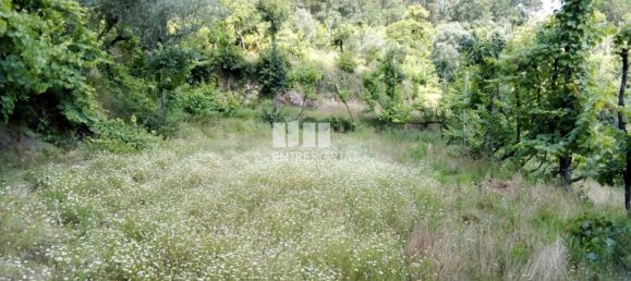 Casa de 1 dormitorio en Marco de Canaveses, Portugal No. 56723 34
