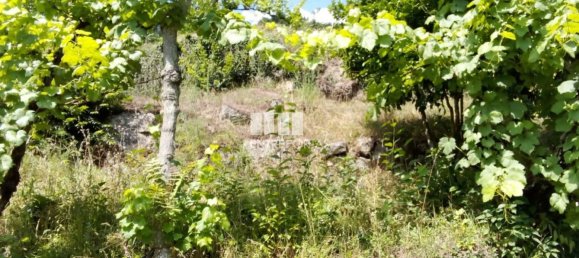 Casa de 1 dormitorio en Marco de Canaveses, Portugal No. 56723 6