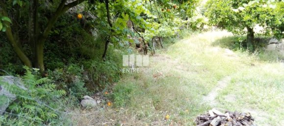 Casa de 1 dormitorio en Marco de Canaveses, Portugal No. 56723 38