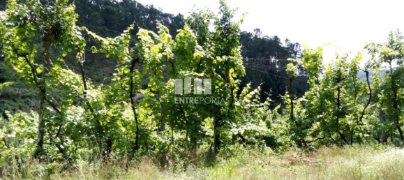 Casa de 1 dormitorio en Marco de Canaveses, Portugal No. 56723 9