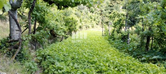 Casa de 1 dormitorio en Marco de Canaveses, Portugal No. 56723 16