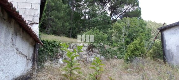 Casa de 1 dormitorio en Marco de Canaveses, Portugal No. 56723 45