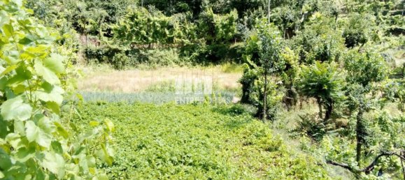 Casa de 1 dormitorio en Marco de Canaveses, Portugal No. 56723 19