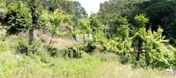 Casa de 1 dormitorio en Marco de Canaveses, Portugal No. 56723 30