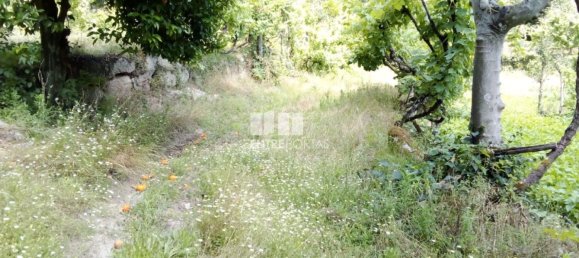 Casa de 1 dormitorio en Marco de Canaveses, Portugal No. 56723 37