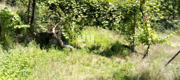 Casa de 1 dormitorio en Marco de Canaveses, Portugal No. 56723 26