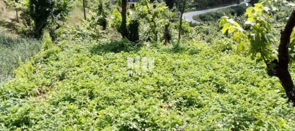 Casa de 1 dormitorio en Marco de Canaveses, Portugal No. 56723 22
