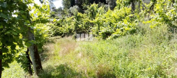 Casa de 1 dormitorio en Marco de Canaveses, Portugal No. 56723 24