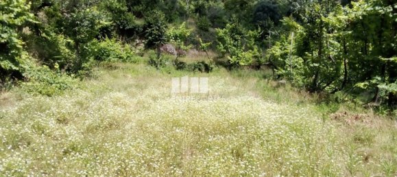 Casa de 1 dormitorio en Marco de Canaveses, Portugal No. 56723 31