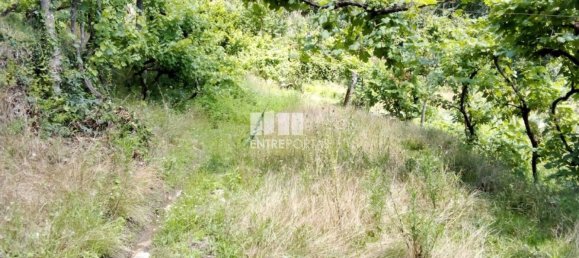 Casa de 1 dormitorio en Marco de Canaveses, Portugal No. 56723 29