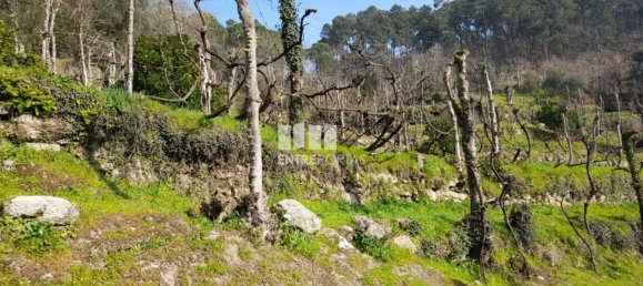 Casa de 1 dormitorio en Marco de Canaveses, Portugal No. 56723 11