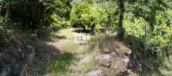 Casa de 1 dormitorio en Marco de Canaveses, Portugal No. 56723 23