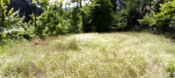 Casa de 1 dormitorio en Marco de Canaveses, Portugal No. 56723 32