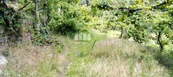 Casa de 1 dormitorio en Marco de Canaveses, Portugal No. 56723 28