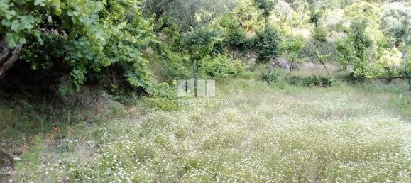 Casa de 1 dormitorio en Marco de Canaveses, Portugal No. 56723 35
