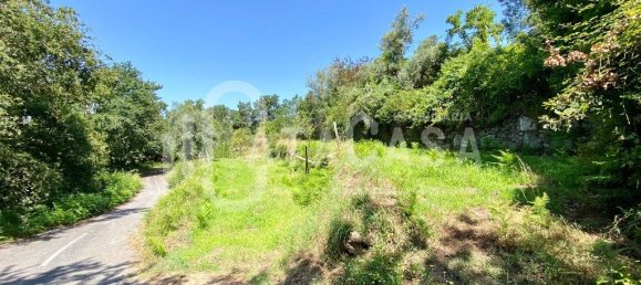 4 bedrooms House in Sever do Vouga, Portugal No. 205564 31