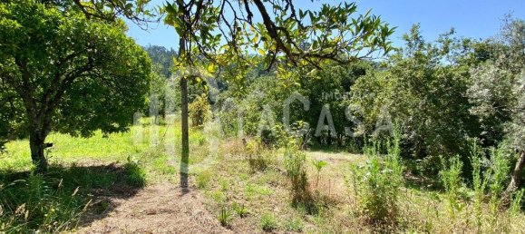 4 bedrooms House in Sever do Vouga, Portugal No. 205564 28