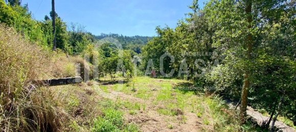 4 bedrooms House in Sever do Vouga, Portugal No. 205564 26