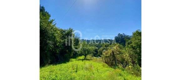 4 bedrooms House in Sever do Vouga, Portugal No. 205564 27