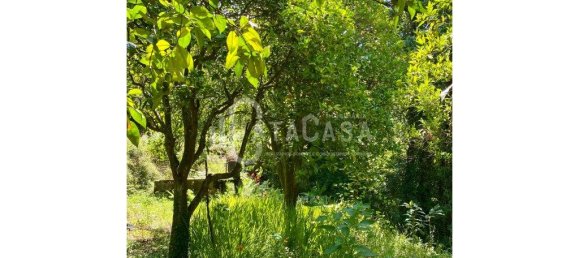 4 bedrooms House in Sever do Vouga, Portugal No. 205564 24