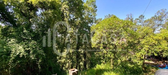 4 bedrooms House in Sever do Vouga, Portugal No. 205564 13