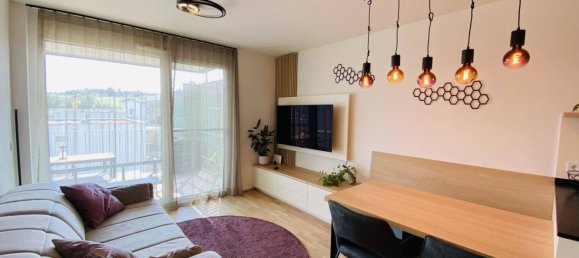 2 rooms Apartment in Seekirchen am Wallersee, Austria No. 230171 2